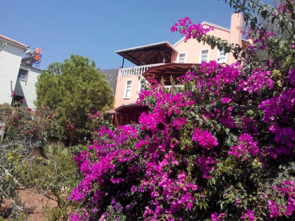 Villa Koknar Pension 카스 객실 사진