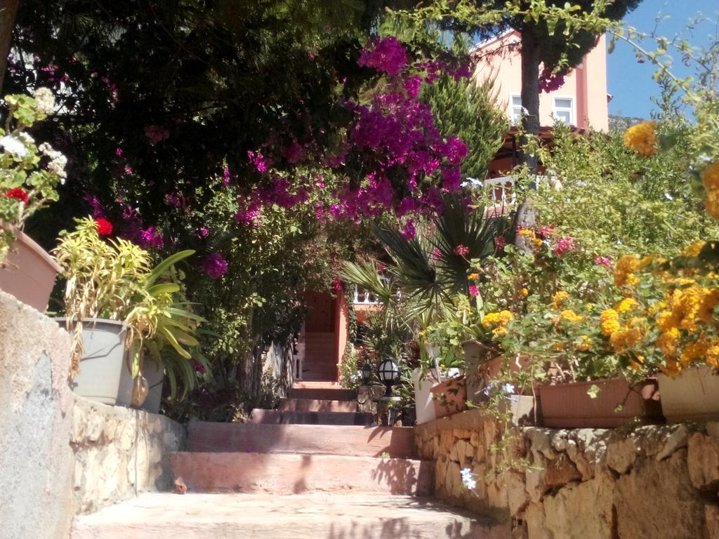 Villa Koknar Pension 카스 객실 사진